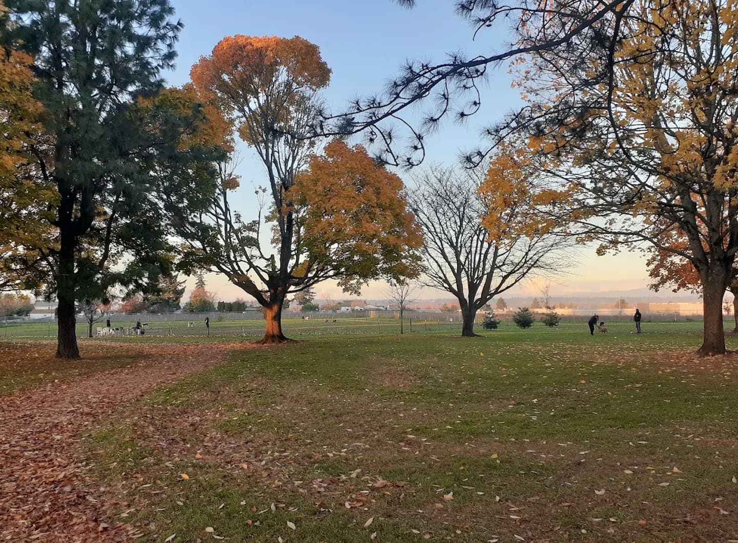 Sacajawea Dog Park near Laurel House